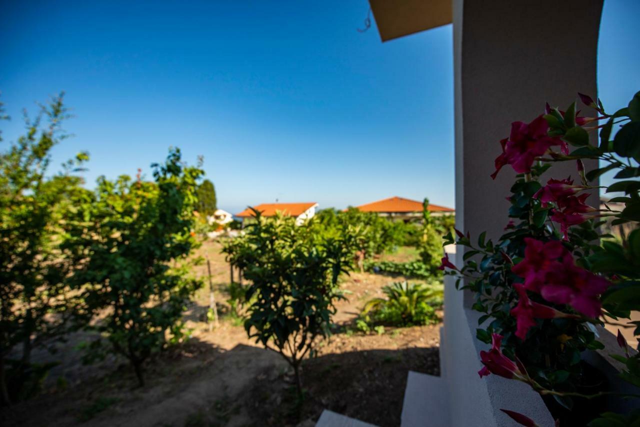 Michelino House Bed & Breakfast Parghelia Eksteriør bilde